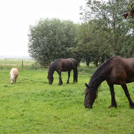 Apartment Het Friesche Paard Purmer المظهر الخارجي الصورة